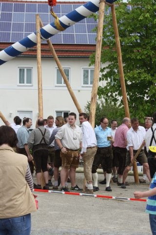 Maibaum 2013